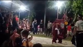 Download lagu #aksoro1962 #storywa #barongan story whatsapp barongan devil's maroon 'dinggo bukti' mp3