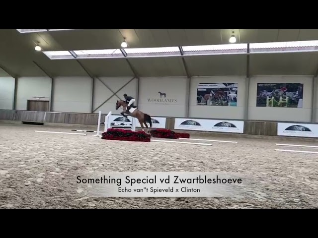 Something Special vd Zwartbleshoeve