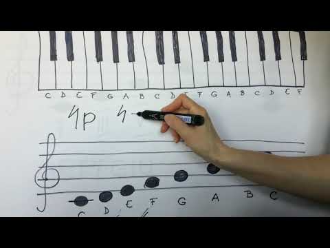 13. Cvartă perfectă/mărită 4p și 4+