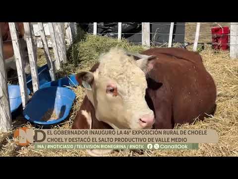 Weretilneck inauguró la Expo Rural de Choele Choel y destacó el salto productivo de Valle Medio