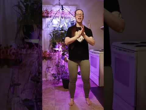 "Kaleidoscope Heart" (Sara Bareilles arr. Allison Girvan) Body Percussion Breakdown