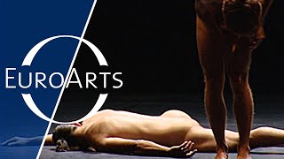 The modesty of Icebergs - by Daniel Léveillé