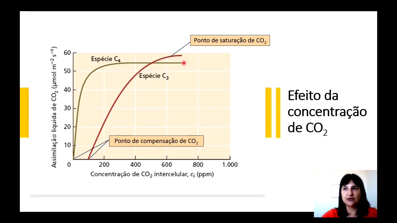 Fisiologia Vegetal - Fotossíntese - Parte 5 - Considerações Fisiológicas e Ecológicas