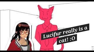 Finally meeting cat Lucifer (Purrgatory - Part Four)