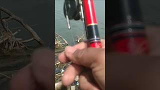 Download lagu mancing #viralsong #bolang #shortsviral #fishing mp3