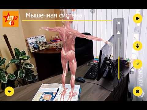 Миниатюра изображения товара Энциклопедия АСТ Человек. Энциклопедия с дополненной реальностью (Прудник А., Ликсо В.)