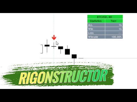 Video Rigonstructor