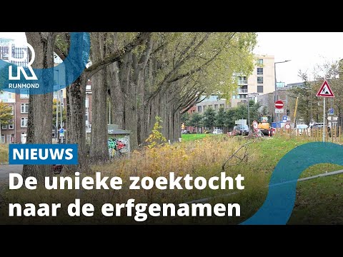 Het mysterie van het vergeten stukje grond in Rotterdam | Rijnmond