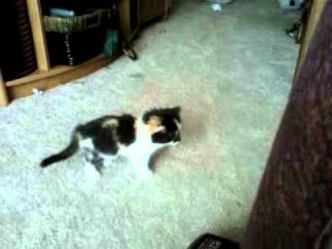 Rupert..... Vaccum.... Lmao.