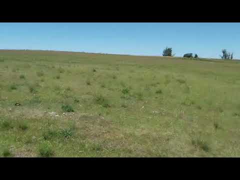 VALIENTE VENDE 12 HAS TALA-CANELONES U$S 72000