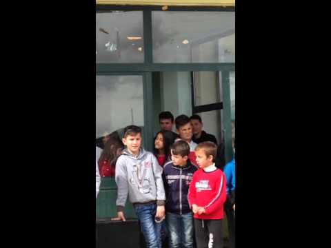 Shkumbin brati -qik hasjane