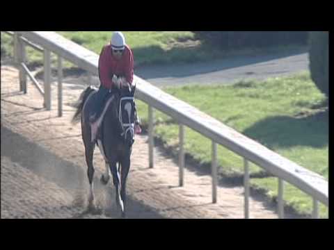 2013-04-20 Dreaming of Julia