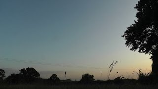 preview picture of video 'Barn Owl Watch - Rural Worcestershire'