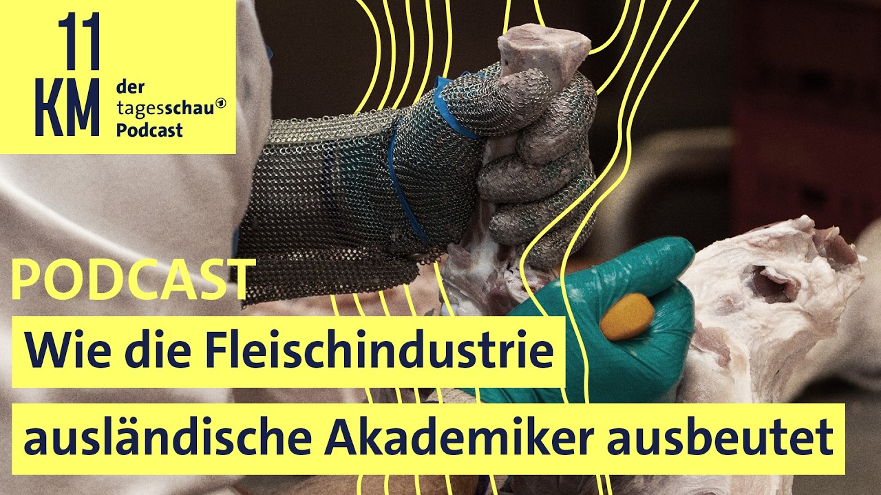 Wie die Fleischindustrie ausländische Akademiker ausbeutet I 11KM - der tagesschau-Podcast