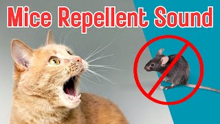 Mice Repellent Sound: Cat