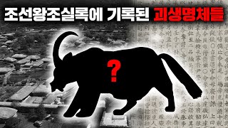 Download lagu 조선왕조실록에 기록된 정체불명의 괴수 [괴담] mp3