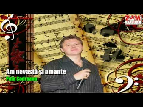 Puiu Codreanu - Mega Colaj Cu Cele Mai Frumoase Melodii de Petrecere
