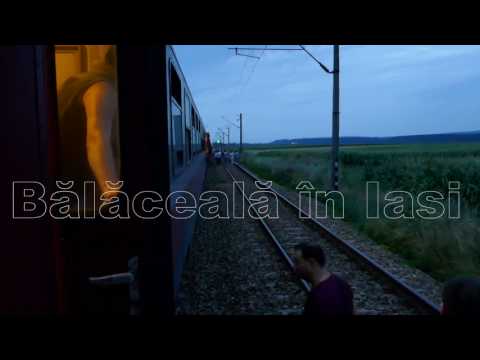 Iasi Timisoara IR 1837 23 iulie 2017 Accident vaca