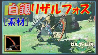 【ゼルダの伝説ティアキン】「白銀リザルフォス」が出やすい場所。「白銀リザルフォスの角」「白銀リザルフォスのしっぽ」入手法！