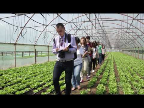 Producatori romani - Legumele din Adunatii Copaceni