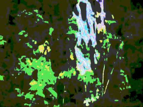 Acid & psychedelic " The emerald forest " version by Christophe Tixier