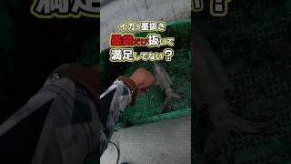 イカの墨抜き、ここ残すと大惨事… 😱