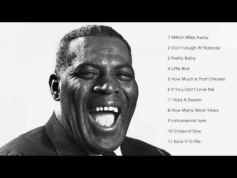THE BEST OF HOWLIN' WOLF - HOWLIN' WOLF GREATEST HITS FULL ALBUM