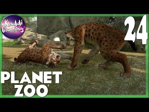 Der letzte Schliff 🦓 Planet Zoo SANDBOX #24