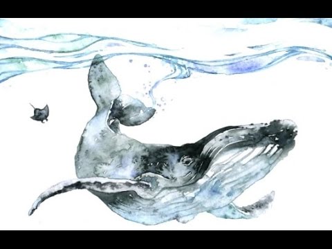 Flying With Whales -  Abel Korzeniowski