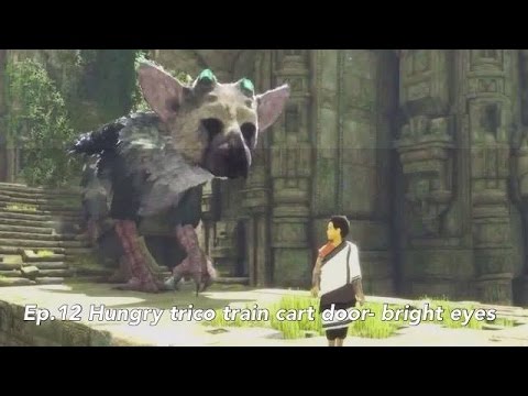 THE LAST GUARDIAN WALKTHROUGH PART 12 / NO COMMENTARY / HUNGRY TRICO TRAIN CART DOOR- BRIGHT EYES