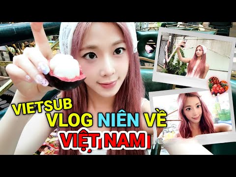 VIETSUB Vlog Nien Về Quê Ngoại Việt Nam | tripleS Hứa Niệm Từ