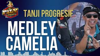 Download lagu CAMELIA - FILY KURCACI TEAM X INA SALSA version of TANJIDOR PROGRESSIVE mp3