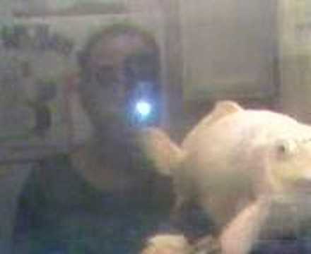 Gulp is Bigger and Badder Than Ever