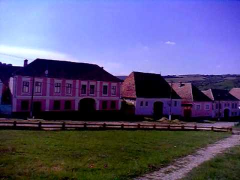 Proprietetatile printului Charles si ale "americanului" de la Archita