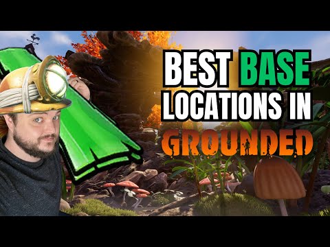 Grounded Base Locations That Will Make You Start a New Playthrough