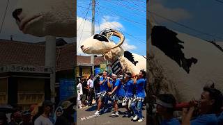 Download lagu Wedus kentir Karnaval kreatif #shorts #fypシ゚viral #beranda mp3