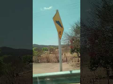 São Domingos PB 🌵🌵☀️🌞☀️🌵🌵