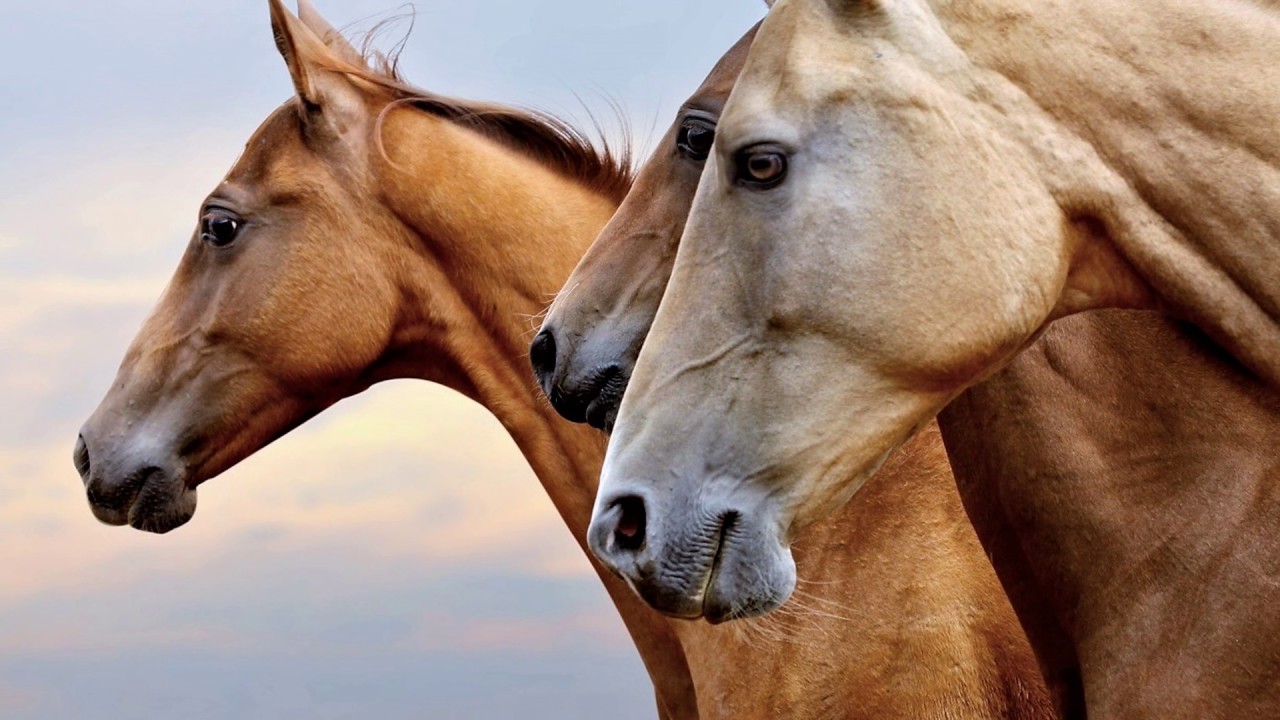 Wszystko jest ''po coś ''?