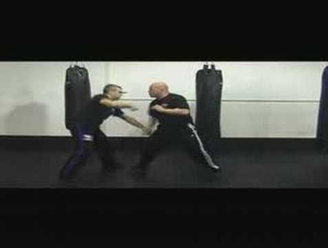 Israeli Krav Maga