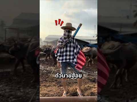 บักเซียงมันตายแล้ว | แอดเหมียว #shorts