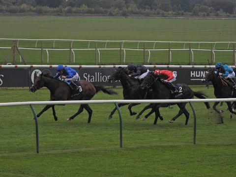 WISE APPROACH Middle Park Stakes (G1) 2025