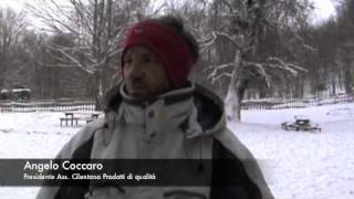 preview picture of video 'Festa della Neve a Piaggine - Intervista ad Angelo Coccaro'