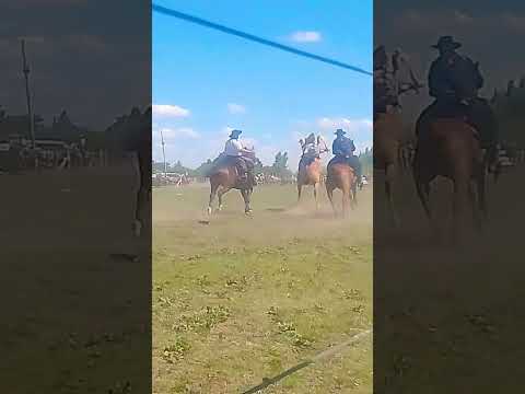 47° fiesta de la tradición buena esperanza San Luis