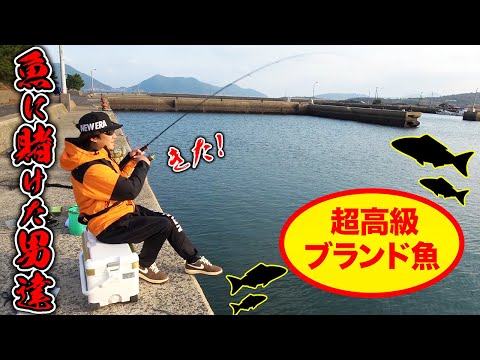 youtube-ガジェ・趣味記事2026/01/23 18:58:02