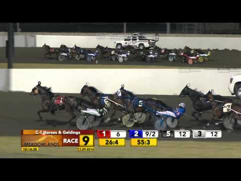 Meadowlands November 29, 2014 - Race 9 - Rockin The House