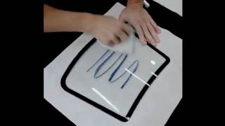 EVOX full video