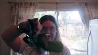 plant update omg is that a keiki I see and easter cactus tips