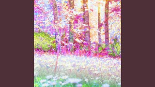 Cover art for AetheR Forest