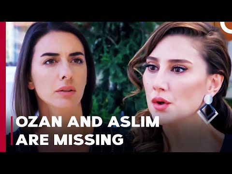 The Familes Are Miserable - Can't Stop Loving You