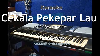 Download lagu CEKALA PAKEPAR LAU Tone Cewek Karaoke Pop mp3
